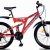 Stock 24/26inch MTB and Lady bike are on sale of special price