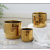 Gold-Plated Glossy Ceramic Flower Pot Set Creative Fashion Flower Arrangement Dried Flower Device Dining Table Living Room Home Decoration Flower Pot
