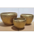 Gold-Plated Bowl-Shaped Ceramic Flower Pot Home Floor Combination Flowerpot Decoration Planting Foreign Trade Wholesale Factory Store