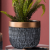 Creative Golden Trim Ceramic Flower Pot Combination Home Decoration Plant Pot Decoration Three-Piece Combination Floor Flower Pot