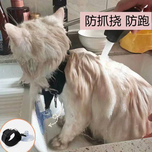猫咪洗澡美容固定器洗澡固定绳防跑防抓咬宠物狗狗猫咪剪指甲用品