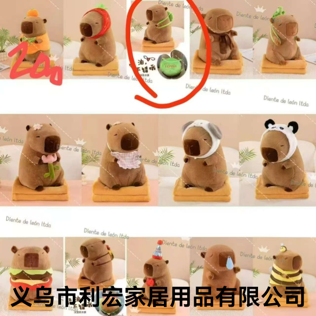 Product Image Gallery