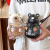 New Bear Children's Water Cup High-Looking Portable Plastic Cup Cartoon Straw Kettle Summer Student Cute Cup