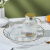 Creative Simple Golden Trim Petal-Shaped Transparent Pet Household Hotel Banquet Display Western Cuisine Plate