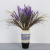 Cross-Border Lavender Amazon Artificial Flower Factory Home Decoration Fake Flower for Wedding