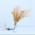 Artificial Reed PAMPAS Grass Zamioculcas Leaves Eucalyptus Flower and Leaf Bundle Hand Holding Artificial Flower Home Wedding Flower Decoration