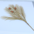 Artificial Reed PAMPAS Grass Zamioculcas Leaves Eucalyptus Flower and Leaf Bundle Hand Holding Artificial Flower Home Wedding Flower Decoration