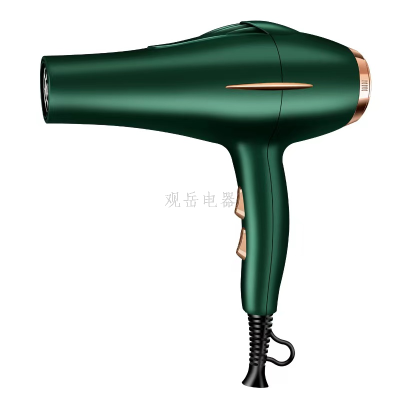 GY-8812 4000W High Power Household Hair Dryer Hot and Cold Air