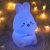 New Creative Bunny Silicone Light Bedroom Colorful Night Light Amazon Children Ambience Light Gift Wholesale Night Light
