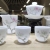 Ice-like Hand-Painted Jade Porcelain Magnolia Tea Set Suit Household Tea Cup Tureen Office Reception Kung Fu Teaware Gifts Gift Box
