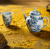 Zhongjia Kiln Ceramic Teapot Jingdezhen Chai Kiln Blue and White Hand Drawn Guofeng Nuevedeer Single Teapot Gongfu Teapot