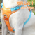 Pet Harness Vest Dog Strap Dog Hand Holding Rope Explosion-Proof Dog Leash Medium and Small Dogs Pet Supplies
