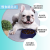 Pet Slow Feeding Bowl Anti-Choke Anti-Fast Swallowing Integrated Slow Food Basin Anti-Tumble Cat and Dog Plastic Bowl Wholesale
