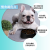 Dog Bowl Anti-Choke Slow Feeding Bowl Small and Medium Dogs Dog Feeder Basin Cat Food Holder Dog Food Bowl Anti-Tumble Pet Supplies