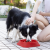 Cross-Border Amazon Pet Slow Feeding Bowl Pet Slow Food Basin Anti-Choke Anti-Fast Swallowing Pp Plate Family Dog Dog Feeder