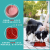 Cross-Border Amazon Pet Slow Feeding Bowl Pet Slow Food Basin Anti-Choke Anti-Fast Swallowing Pp Plate Family Dog Dog Feeder