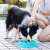 New Pet Anti-Throat Bowl Dog Bowl Dog Basin Cat Bowl Teddy/French Bulldog Food Basin Cat and Dog Slow Feeding Bowl Pet Supplies