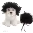 pet wig dog wig cross-border pet supplies halloween pet decorations curly hair straight hair cat wig
