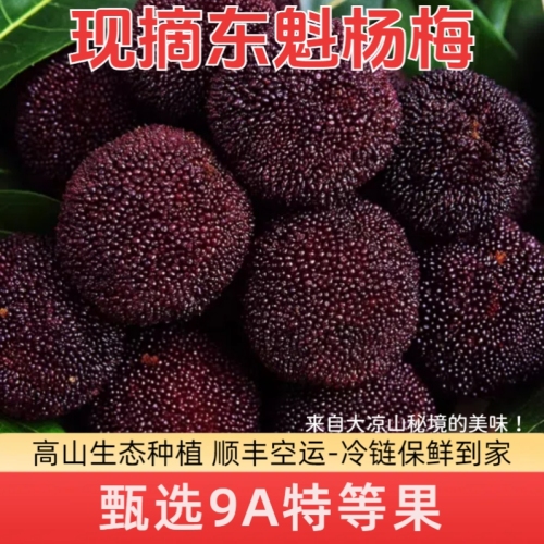 pi up daguo dongkui waxberry fresh in season daliangshan pregnant women non-frozen sparkling wine a whole box free shipping