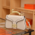 24 New Texture Fashion Factory Internet Celebrity Hand-Carrying Crossbody Shoulder Bag Female Fashionable Classy and All-Matching Foreign Trade Cross-Border