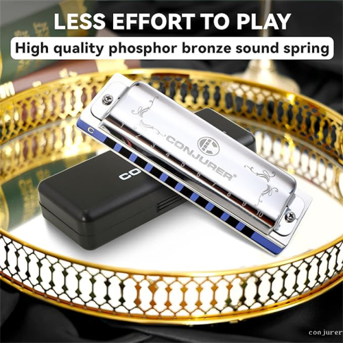 magician conjurer10 hole whole tone scale harmonica blues musical instrument adult beginner professional