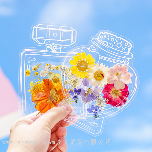 diy dried flower bookmark hand-collected spring pet bottle transparent leaf bookmark student creativity