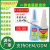Factory Direct Supply Byb Nail Glue 3G Nail Glue Water Sticker Nail Piece Jewelry Fake Nail Glue Small Blue Bottle