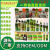 Ors Olive Oil Aloe Shampoo Gloss Hair Conditioner Repair Dry Hair Supplies Cross-Border