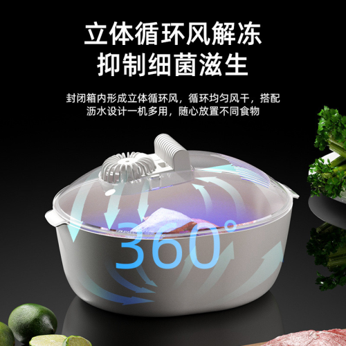 cross-border new arrival kitchen household defrosting device fast meat steak food preservation deicing defrosting plate artifact wholesale