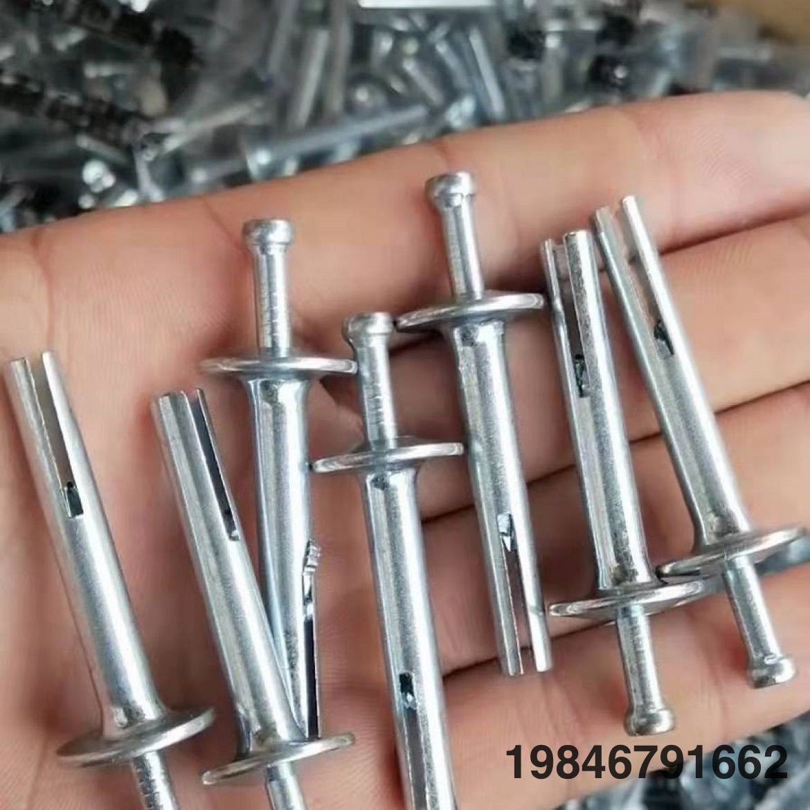 Product Image Gallery