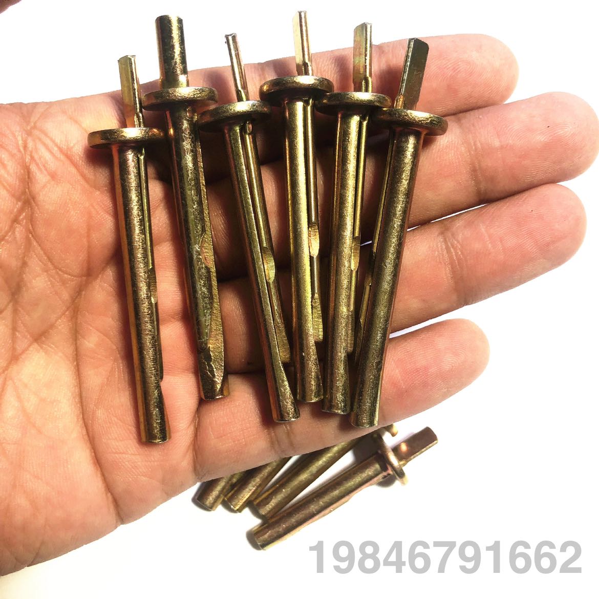 Product Image Gallery