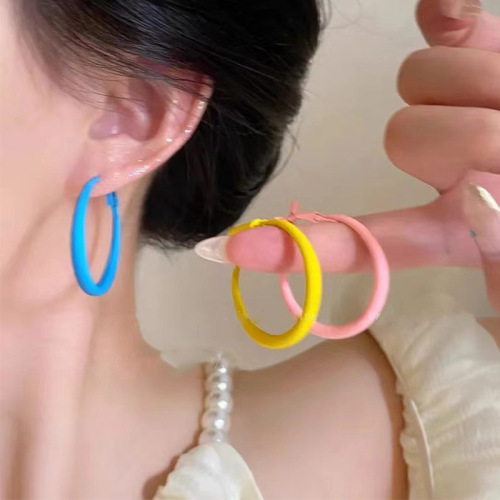 2024 new high-grade color ear ring female summer simple design vacation style earrings seaside dopamine round face earrings