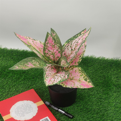 仿真百合叶蕨类植物假花草绿色叶子花材植物角森系造景布置装饰