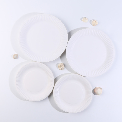 一次性纸盘子5-10寸烧烤小吃果盘圆纸碟子生日蛋糕派对绘画画