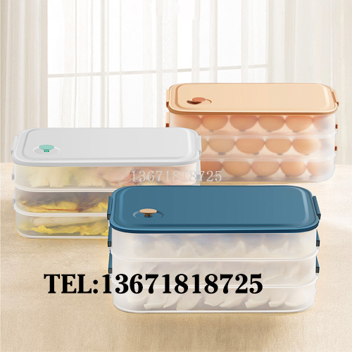 饺子盒食品冷冻专用密封保鲜盒水饺馄饨速冻冰箱收纳盒