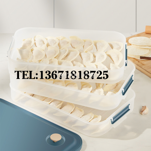 饺子盒食品冷冻专用密封保鲜盒水饺馄饨速冻冰箱收纳盒冰箱食品储