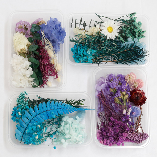 混装干花diy材料滴胶永生花团扇相框材料包干花包手工花材批发