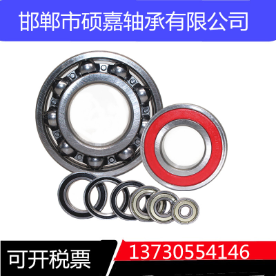 Supply 6000rs Bearing Suitable for Electric Vehicle Bearing Bicycle Bearing Mountain Bike Bearing