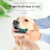 Soododo XDL-Pet Toothbrush Set Double Head Dog Toothbrush Dog Cat Oral Cleaning Finger Toothbrush Cat Toothbrush Pet Supplies