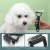 SoododoXDL-Pet comb Cat nail clippers Flat clippers Dog grooming knotting comb nail clippers Pet supplies wholesale