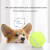 SoododoXDL-Dog tennis toy throwing interactive training boring cat pet toys 3 sets wholesale manufacturers