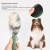Soododo XDL-92221 Pet comb Dog double-sided massage comb Cat comb Pig hair removal brush Cat grooming needle comb Pet supplies