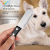 Soododo XDL-90135.02 Terrier retriever pet dog comb Shaver razor razor razor competition dog beauty tools pet supplies wholesale