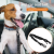 Soododo XDL-93948 Pet Products Car harness Dog leash Elastic retractable buffer safety leash Dog leash leash