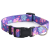 SoododoXD003 Cross-border source pet dog collar chest and back leash Wholesale polyester dog collar