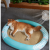 soododoXDyfk09New pet mat summer cooling pet mat dog kennel pet supplies cross-border wholesale