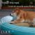 soododoXDyfk09New pet mat summer cooling pet mat dog kennel pet supplies cross-border wholesale