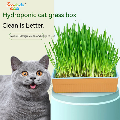 Soododo XDL-936182 Cat cat snack catnip growing hydroponic box Catnip Bowl Hydroponic cat grass box set
