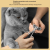 Soododo XDL-927102 Cat nail clippers Metal nail clippers anti-scratch beauty routine Clean and trim