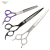 Soododo XDL-92855 Pet Products Grooming and Trimming Metal scissors set Hair cleaning tools Comfortable for cats and dogs versatile scissors